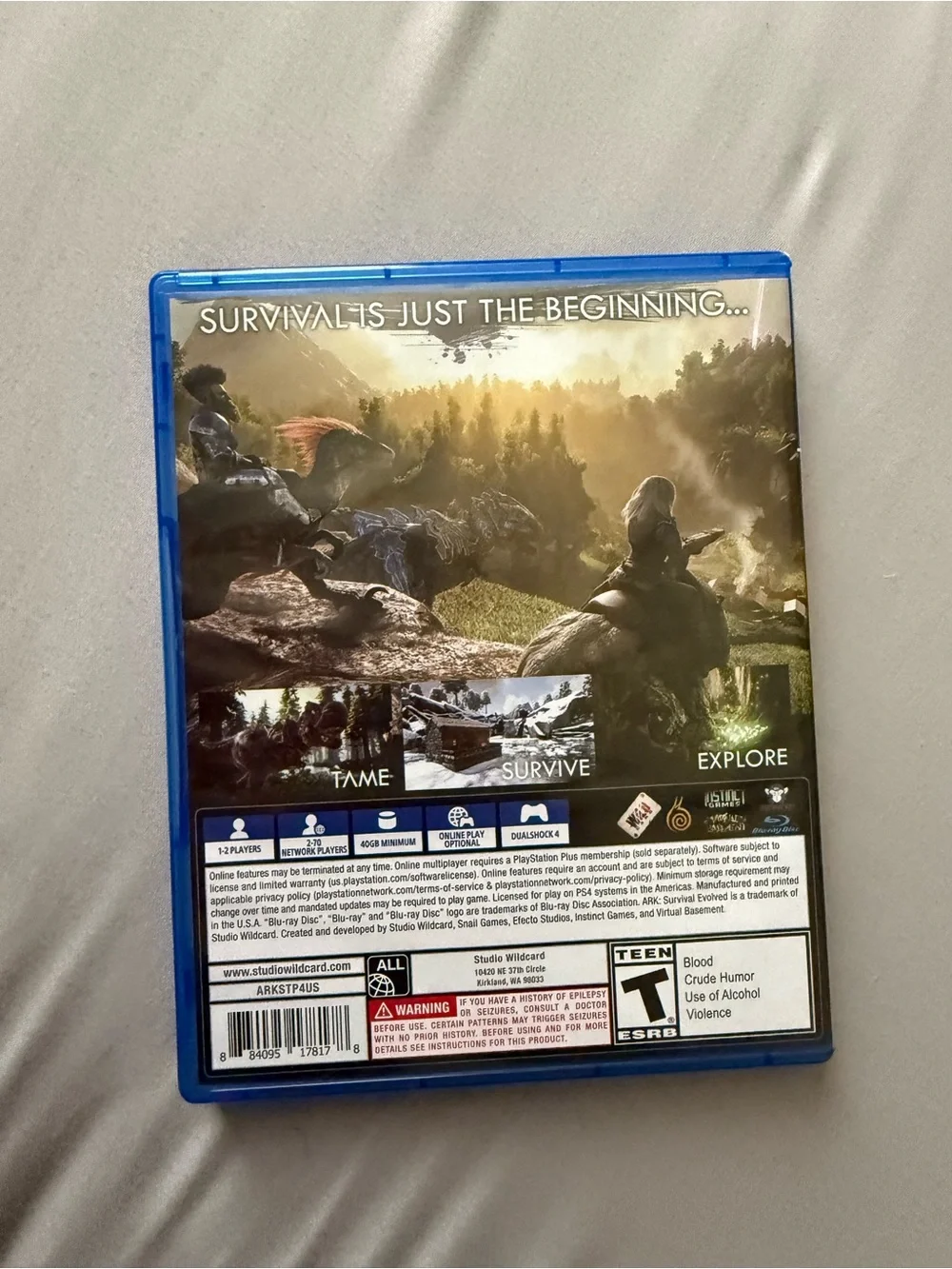 Sony ps4 game